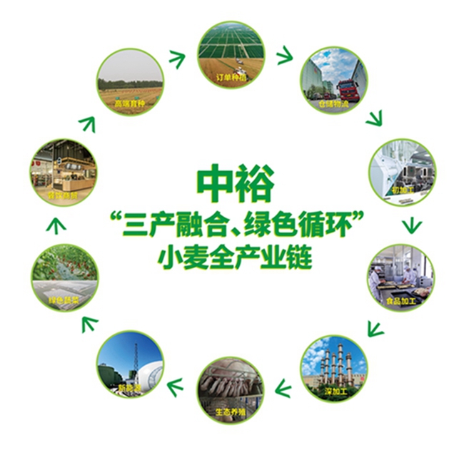 山东滨州：向“绿”向“新”探索高质量发展新路径(图3)