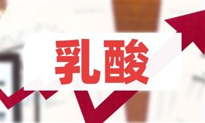 铜加工市场现状分析 铜加工行业未来发展前景及潜力预测(图4)