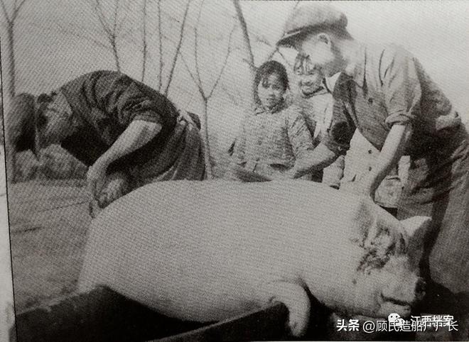 一人杀人全家包庇的后果1981年淮北市14杀人碎尸案侦破始末(图2)